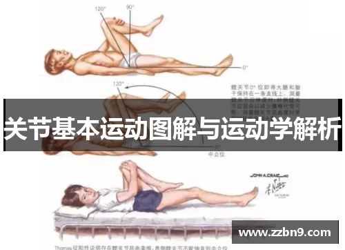 关节基本运动图解与运动学解析